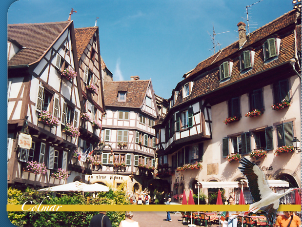 Colmar